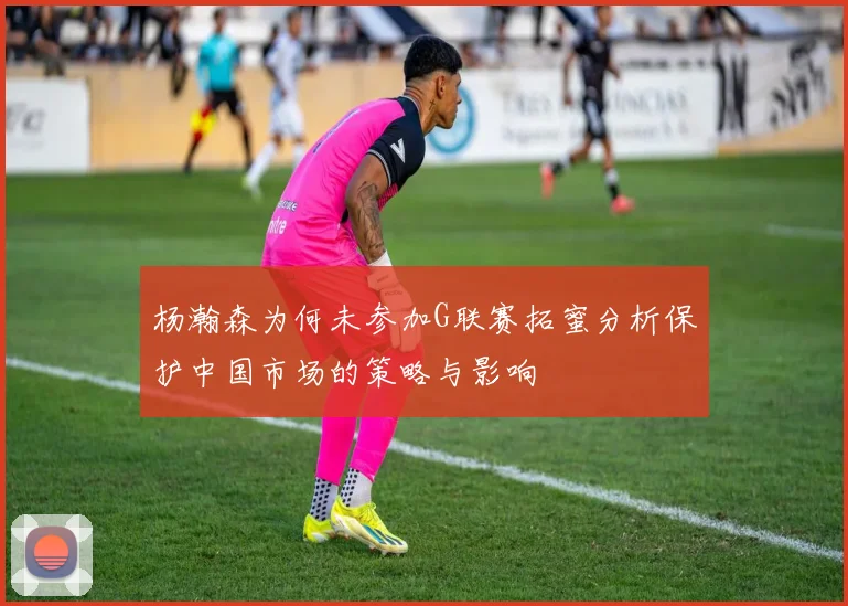 杨瀚森为何未参加G联赛拓蜜分析保护中国市场的策略与影响